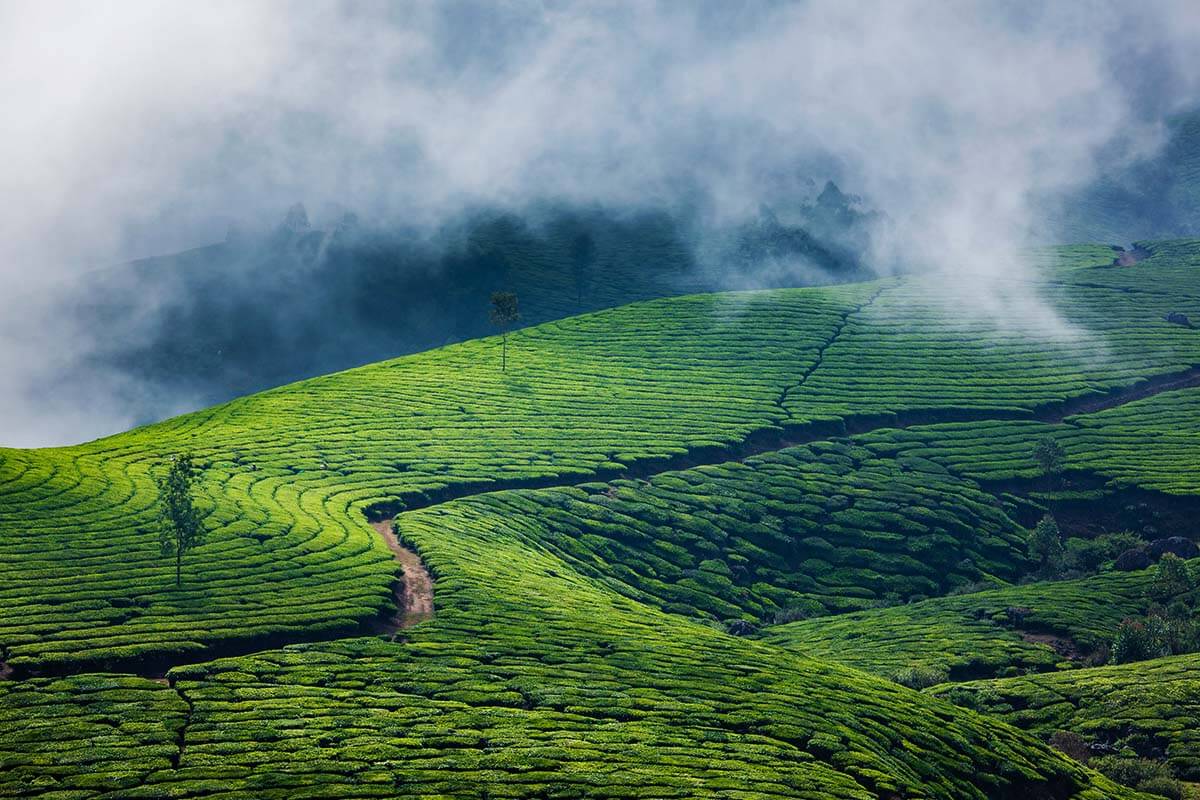 Munnar