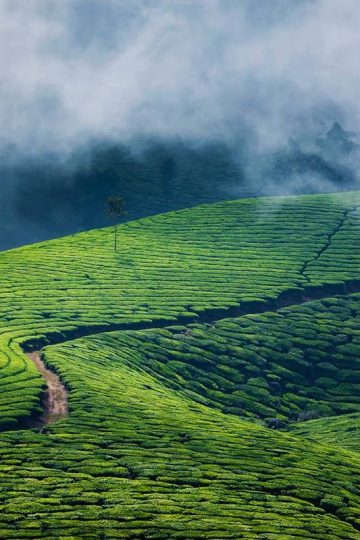 Munnar